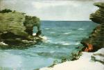 Winslow Homer art print