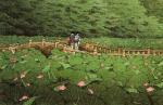 Kawase Hasui art print