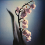 Anna Halm-Schudel art print