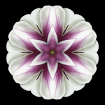 David Bookbinder art print