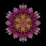 David Bookbinder art print