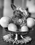MirrorPix art print