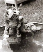 MirrorPix art print