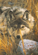 Carl Brenders art print