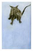 Sonia Rollo art print