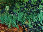 Vincent Van Gogh art print