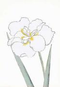 Modern Editions art print