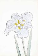 Modern Editions art print