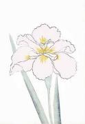 Modern Editions art print