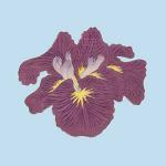 Modern Editions art print
