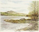 Lake Bala art print