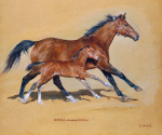 Susan Crawford art print