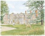 Loseley Park art print