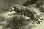 Herbert Thomas Dicksee art print