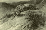 Herbert Thomas Dicksee art print