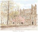 Tavistock - The Square art print