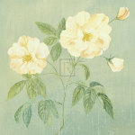 Mimi Roberts art print