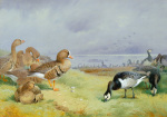 Archibald Thorburn art print