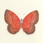 Sophie Golaz art print