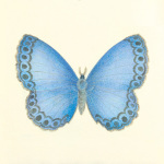 Sophie Golaz art print