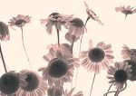 Katja Marzahn art print