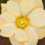 Citrine art print