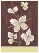 Anne Gerarts art print