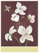 Anne Gerarts art print