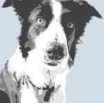 Emily Burrowes art print
