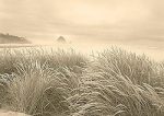 Dune Breeze art print