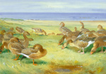 Archibald Thorburn art print