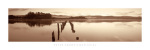 Peter Adams art print