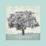Bill Philip art print
