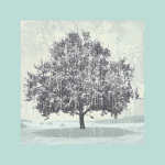 Bill Philip art print
