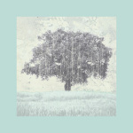 Bill Philip art print