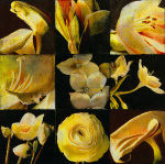 John Douglas art print