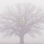Adam Brock art print
