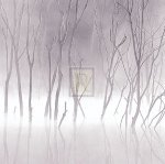 Adam Brock art print