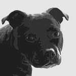 Emily Burrowes art print