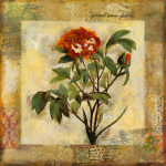 John Douglas art print