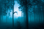 Andreas Stridsberg art print
