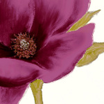 Grandiflora Blush I art print