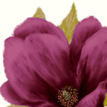 Grandiflora Blush II art print