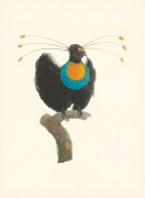 Jacques Barraband art print