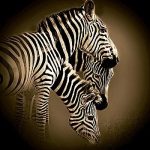 Bobbie Goodrich art print