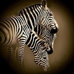 Bobbie Goodrich art print