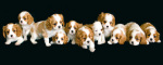 Puppy Love I art print
