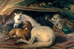 Sir Edwin Henry  Landseer art print