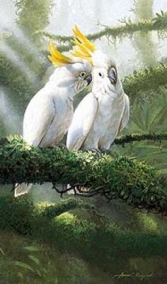 Two's Company art print by Adrian Rigby