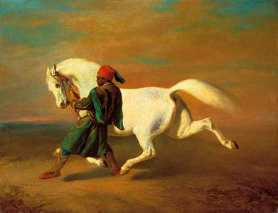 The Pasha's Pride art print by Alfred de Dreux